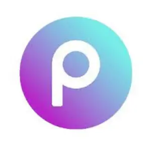 PicsArt Logo